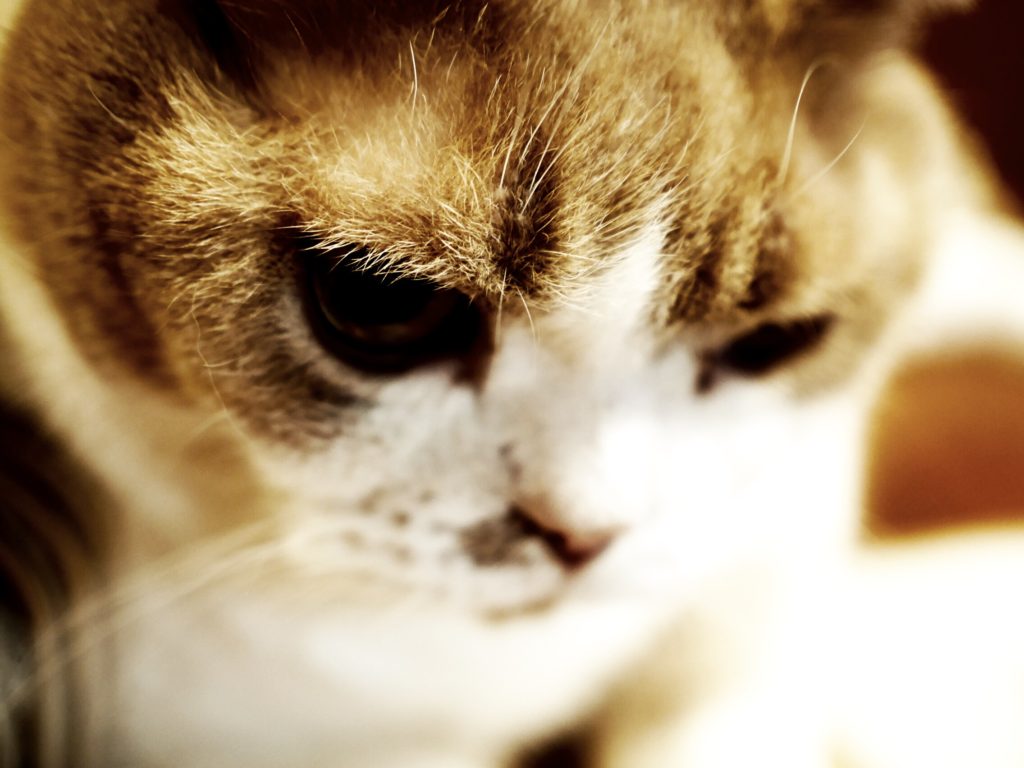 ぽかーん…なお昼休み。