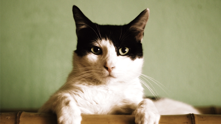 絵を描いてみたくなる。