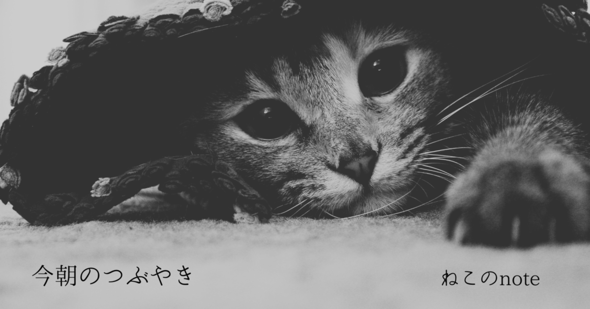 安全地帯で没個性