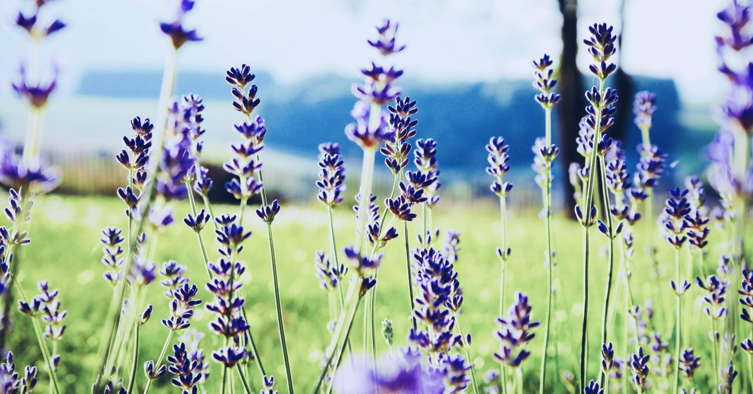 体質改善をしようと思ったきっかけと、その結果。