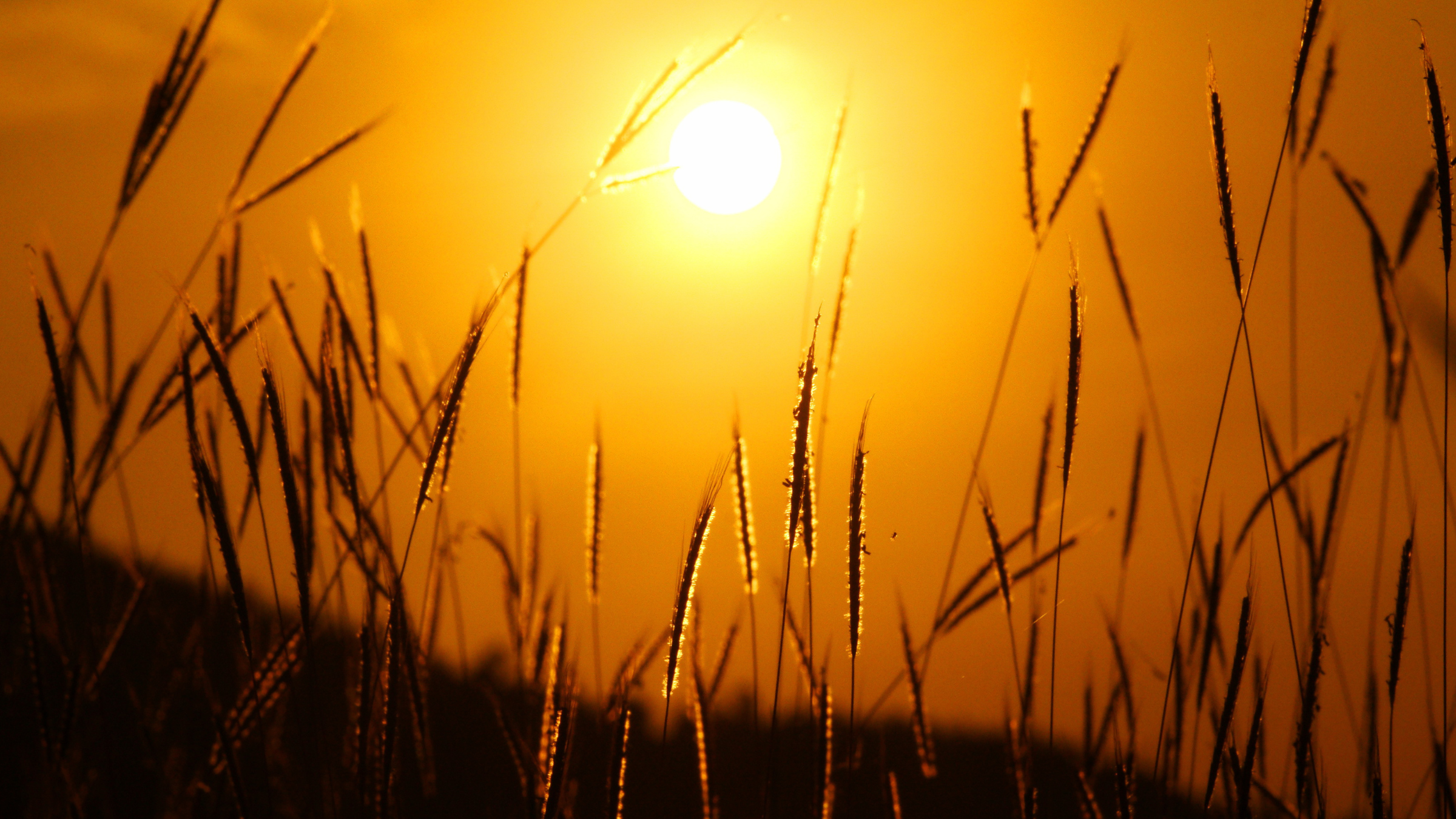 夕暮れの帰り道
