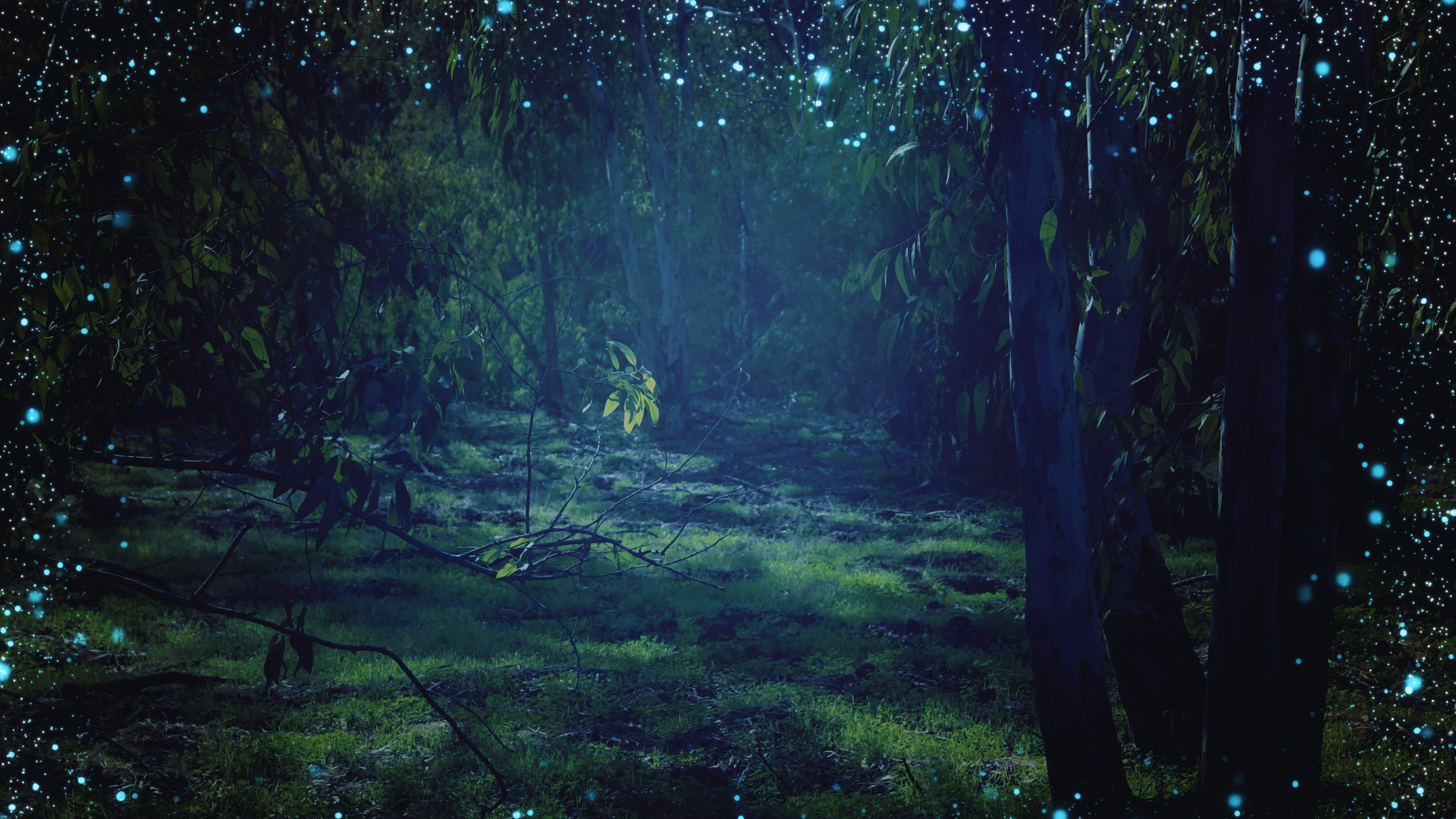 月光サイクリング