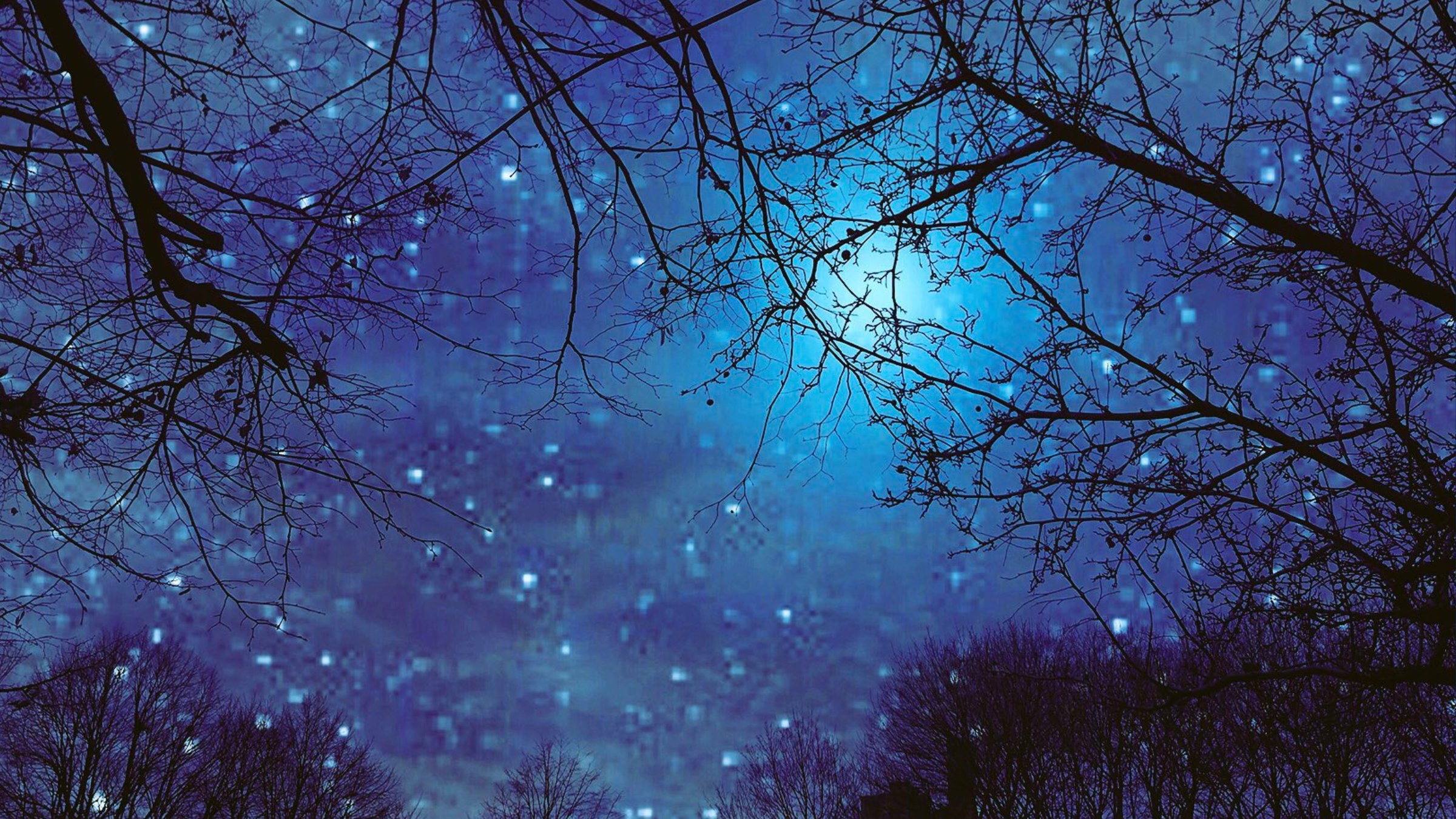 夢の扉を開いてごらん