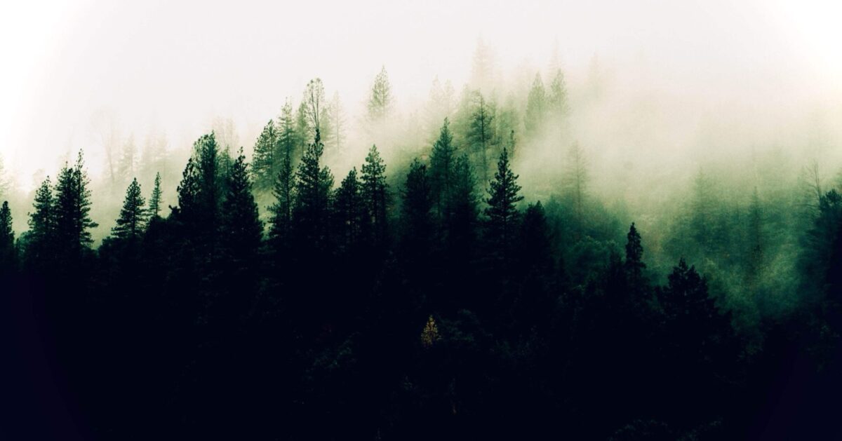 本当の自分を生きるということ──「外向性」と「内向性」の対照から見る人の在り方