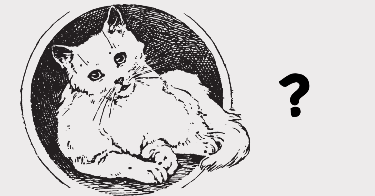 今後の人生、どうやって生きればいいのか。